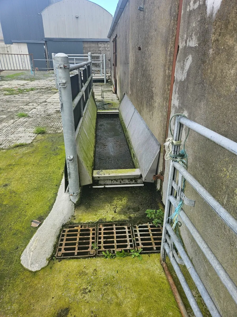 Automatic Footbath - Image 3