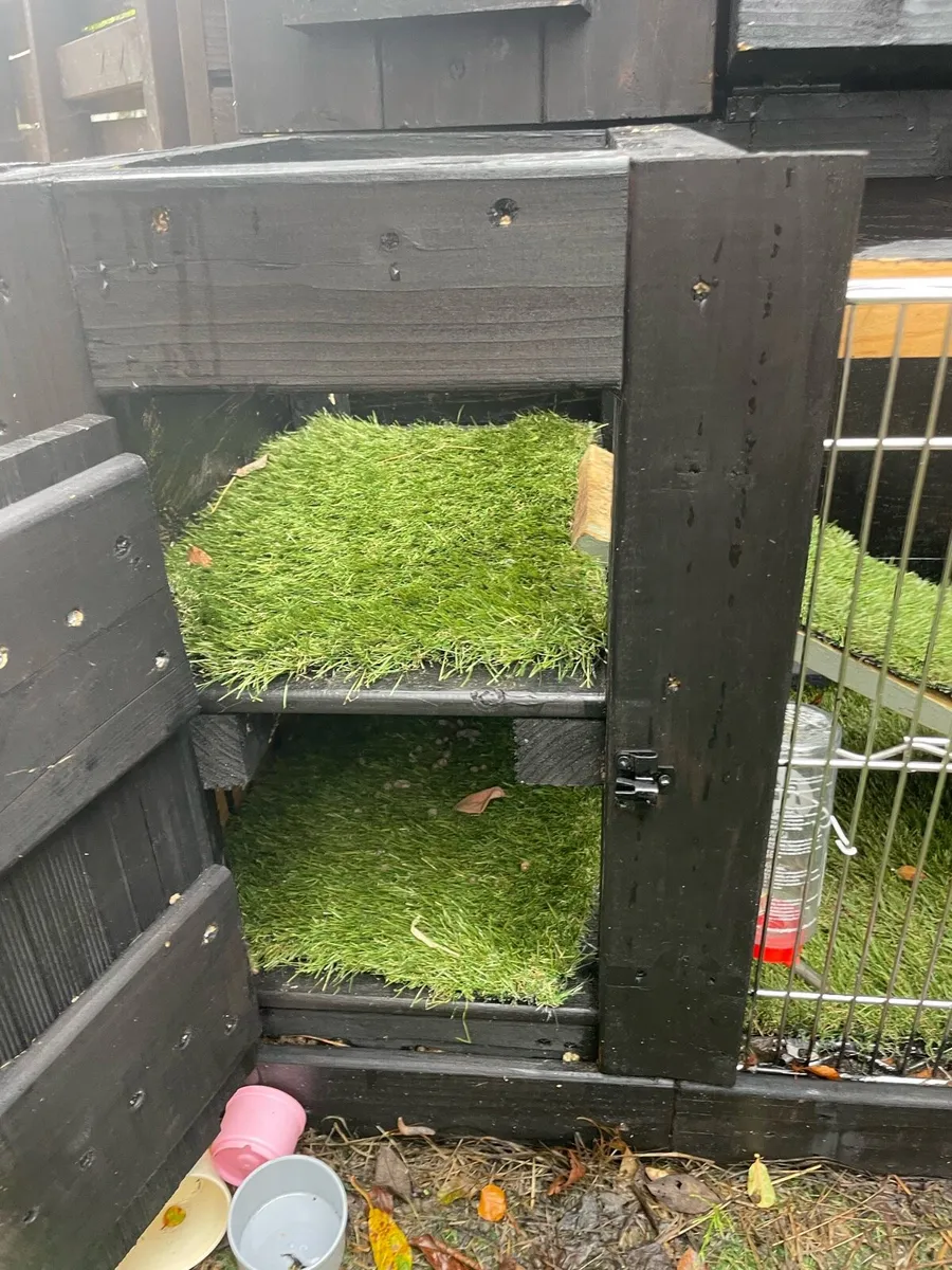 Rabbit house - Image 3