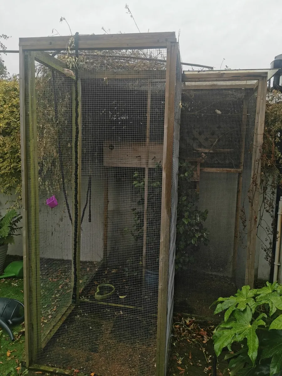 Bird cage