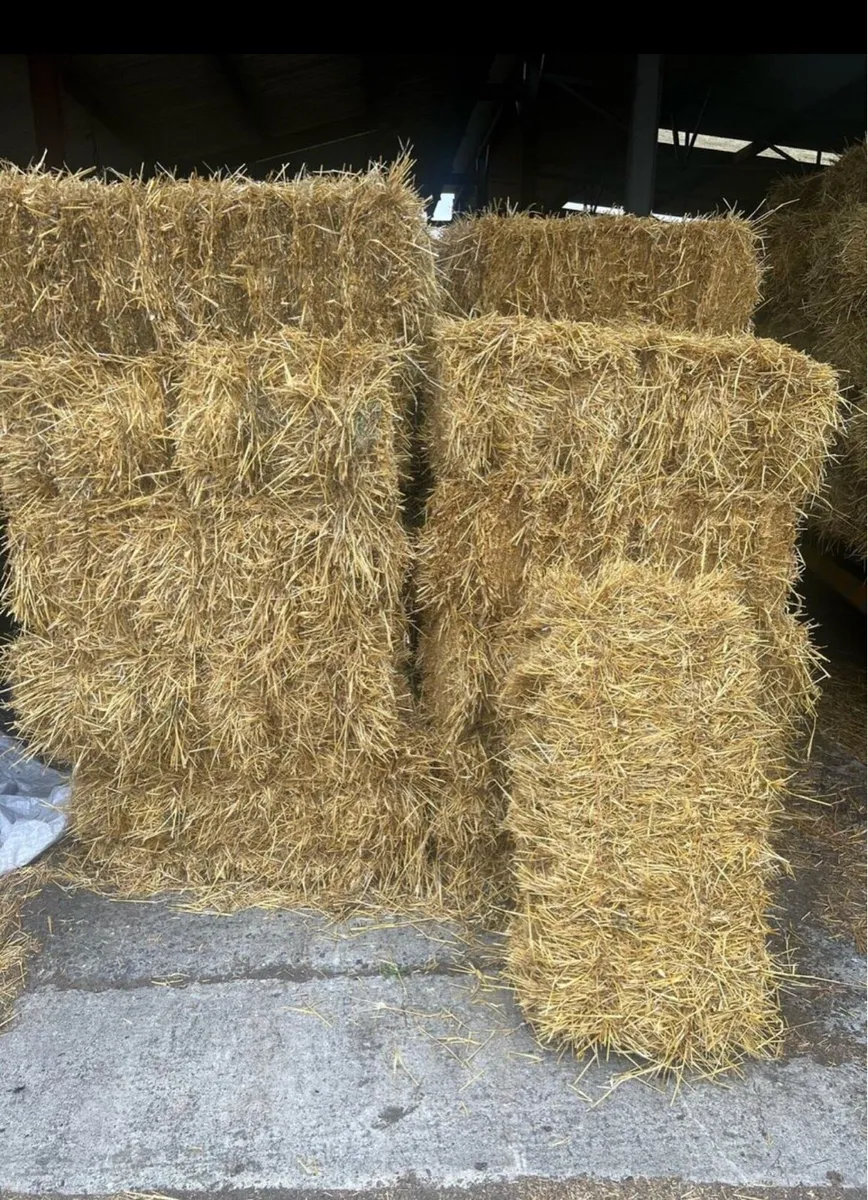 Square bales of hay and straw - Image 1