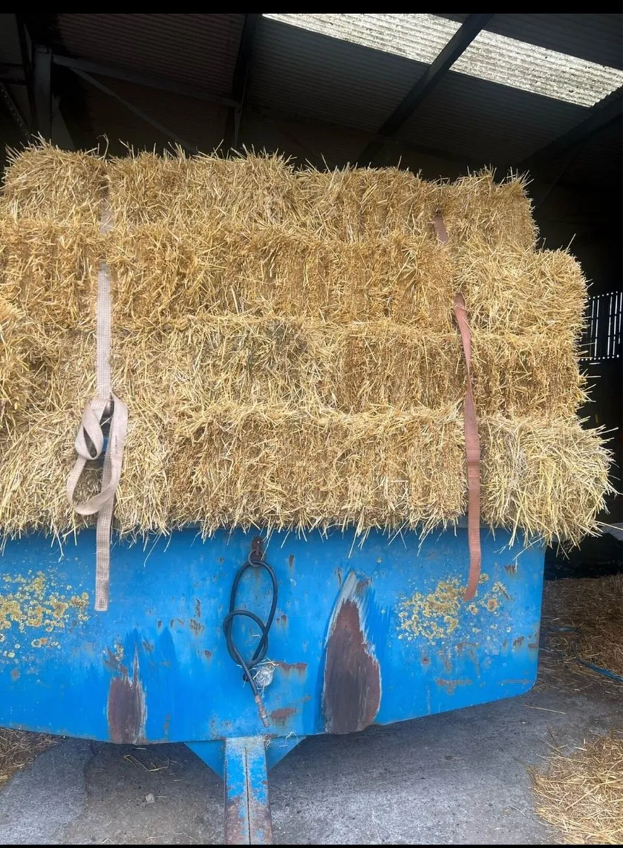 Square bales of hay and straw - Image 2