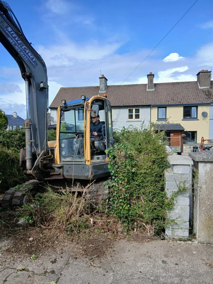Garden clearance and hedge cutting - Image 1