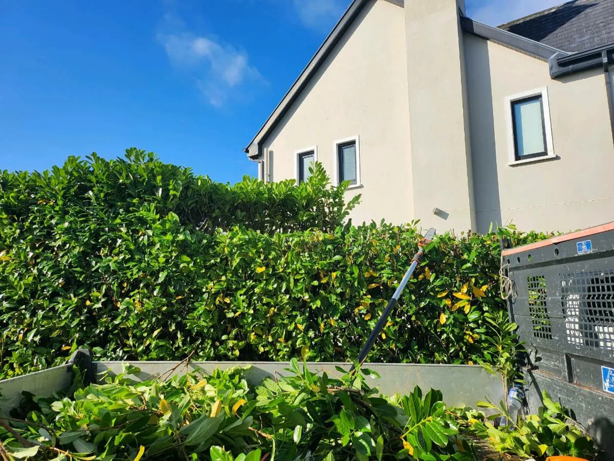 Garden clearance and hedge cutting - Image 3