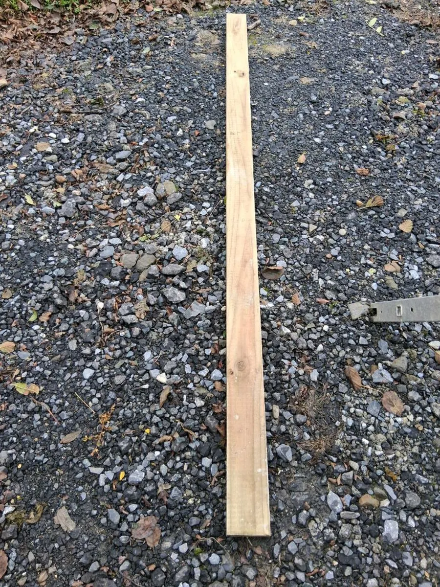 Pressure treated timber - Image 2