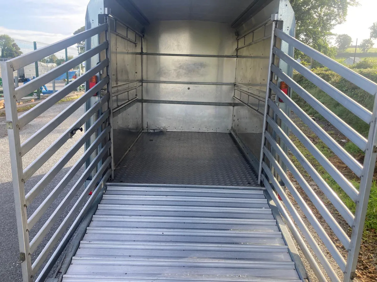 15 Ifor Williams TA5 8 2 Cow Cattle Trailer NO VAT - Image 2