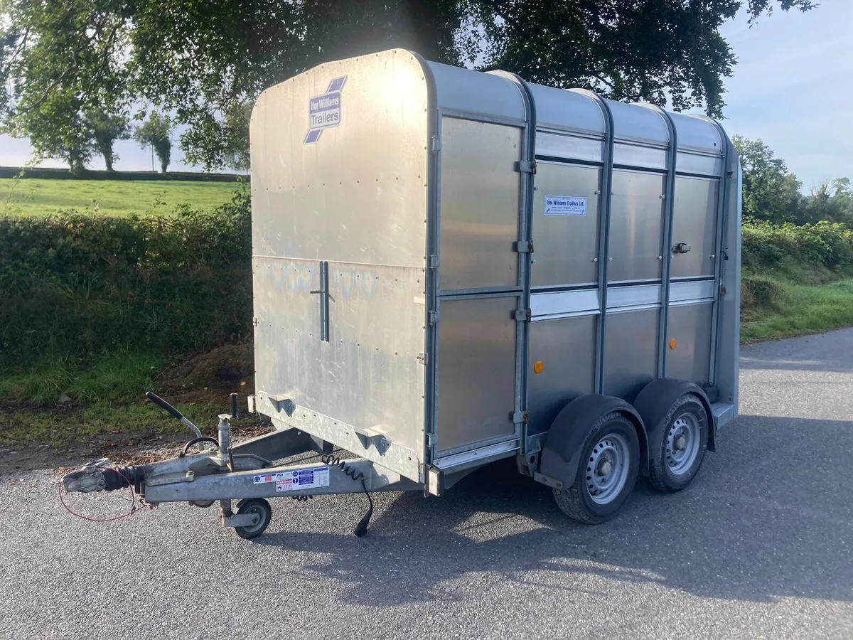 15 Ifor Williams TA5 8 2 Cow Cattle Trailer NO VAT - Image 1