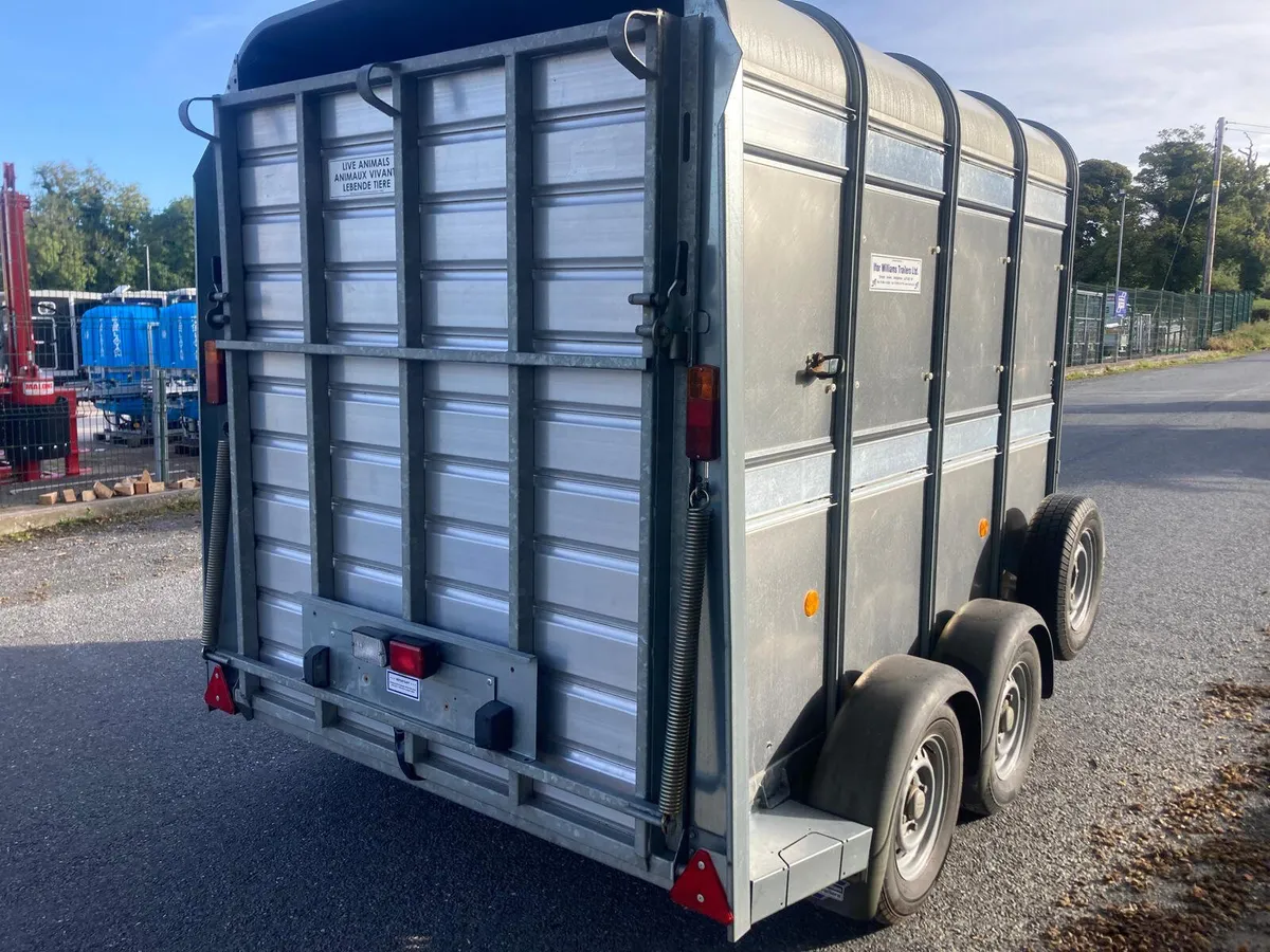15 Ifor Williams TA5 8 2 Cow Cattle Trailer NO VAT - Image 3