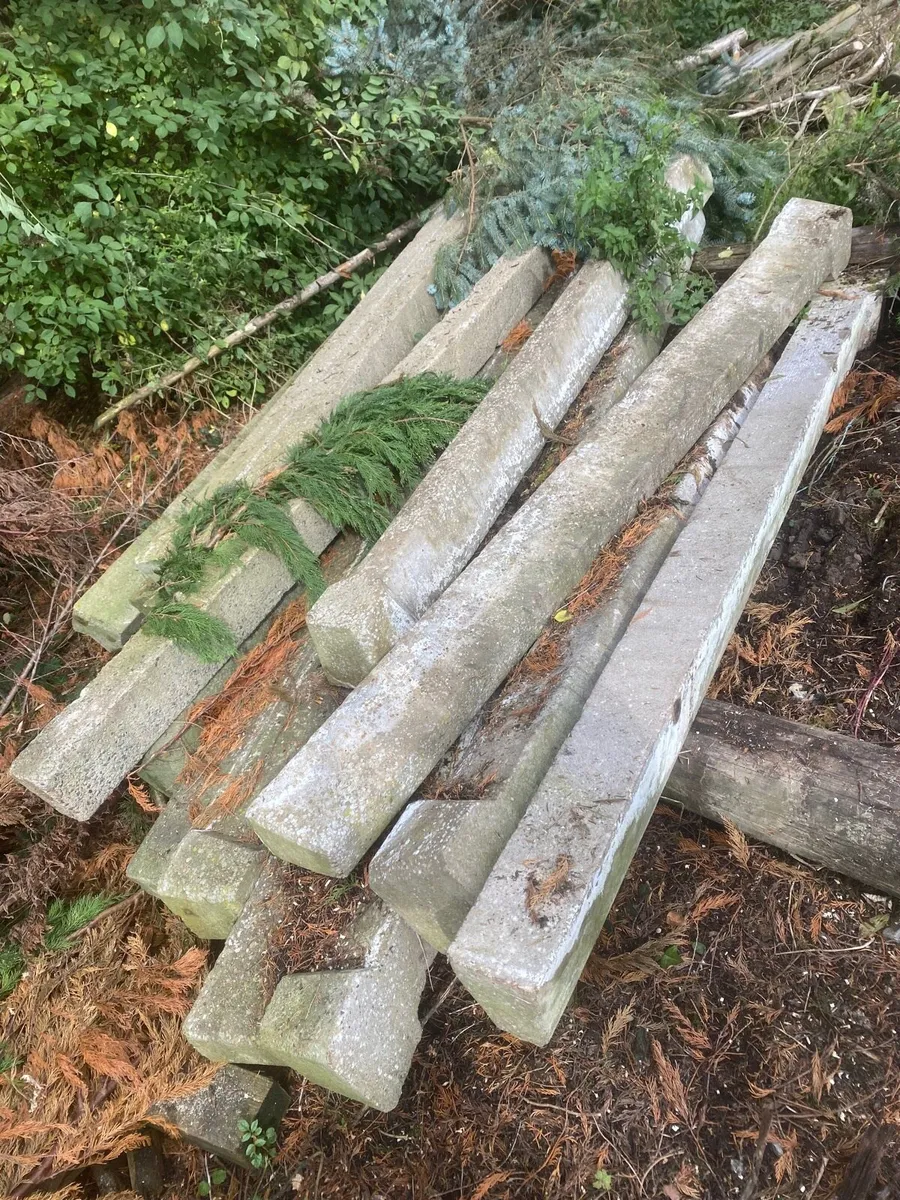 Single slats, excellent quality - Image 1