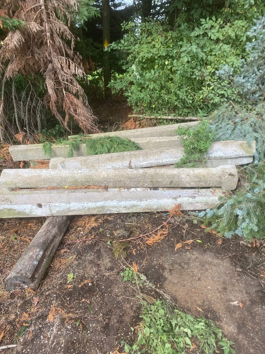 Single slats, excellent quality - Image 2