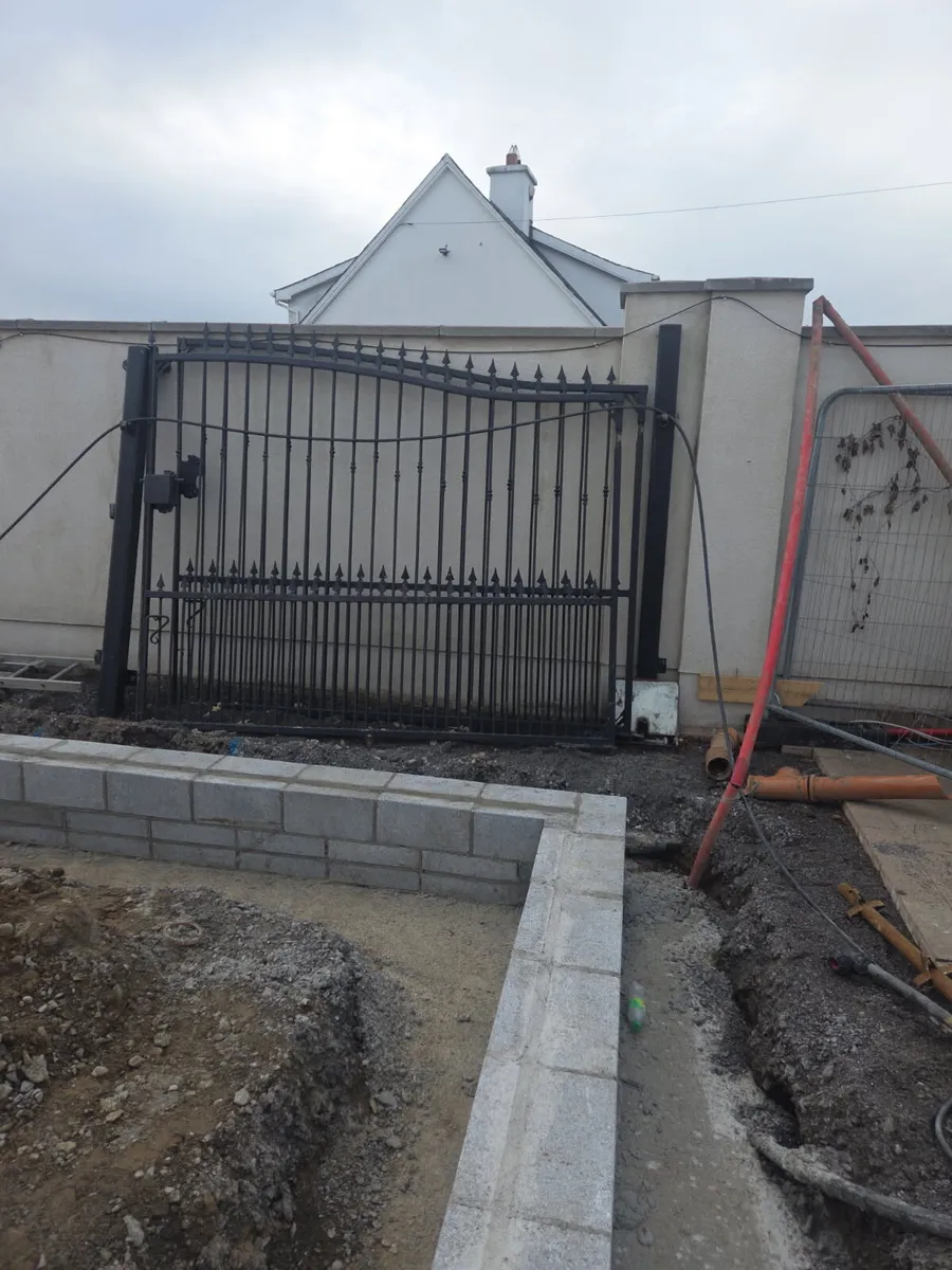 Gates (victorian style galvanised and powdered) - Image 1