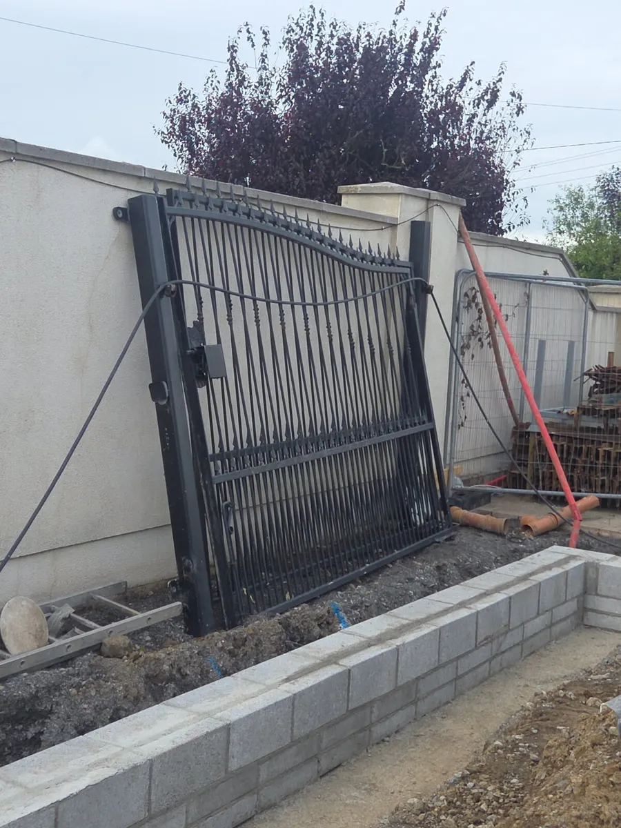 Gates (victorian style galvanised and powdered) - Image 2