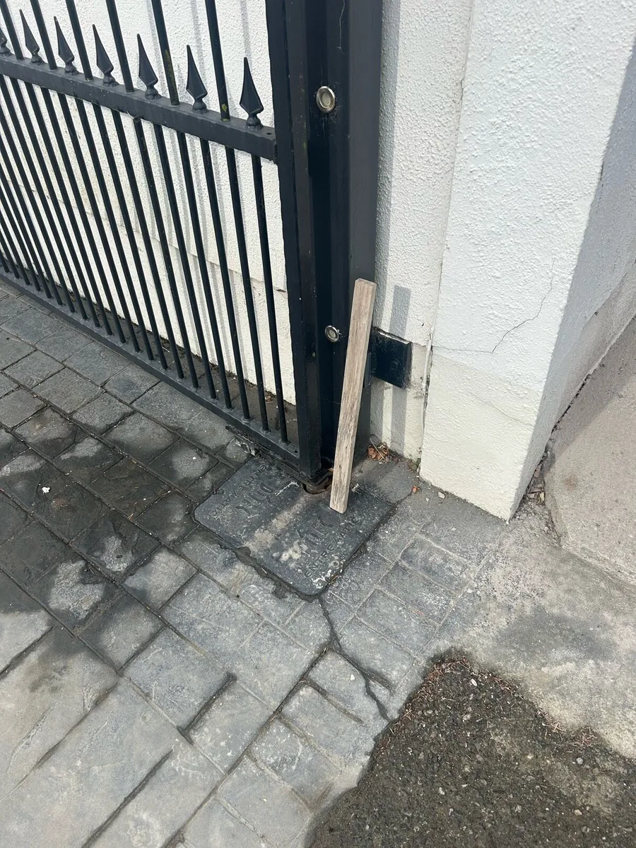Gates (victorian style galvanised and powdered) - Image 3