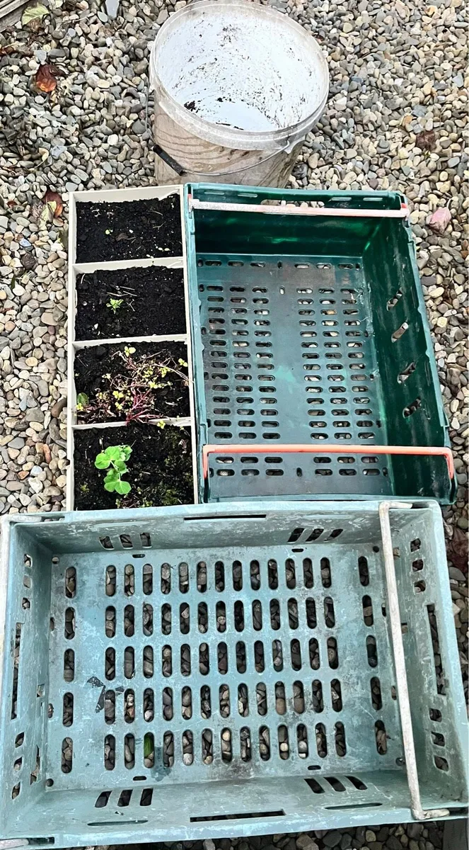 Items for garden - Image 3