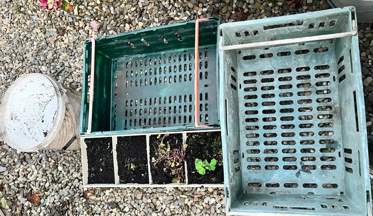 Items for garden - Image 4