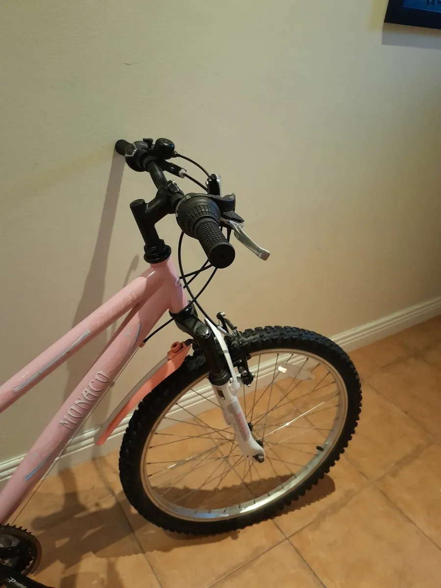 Bicycle - Image 2