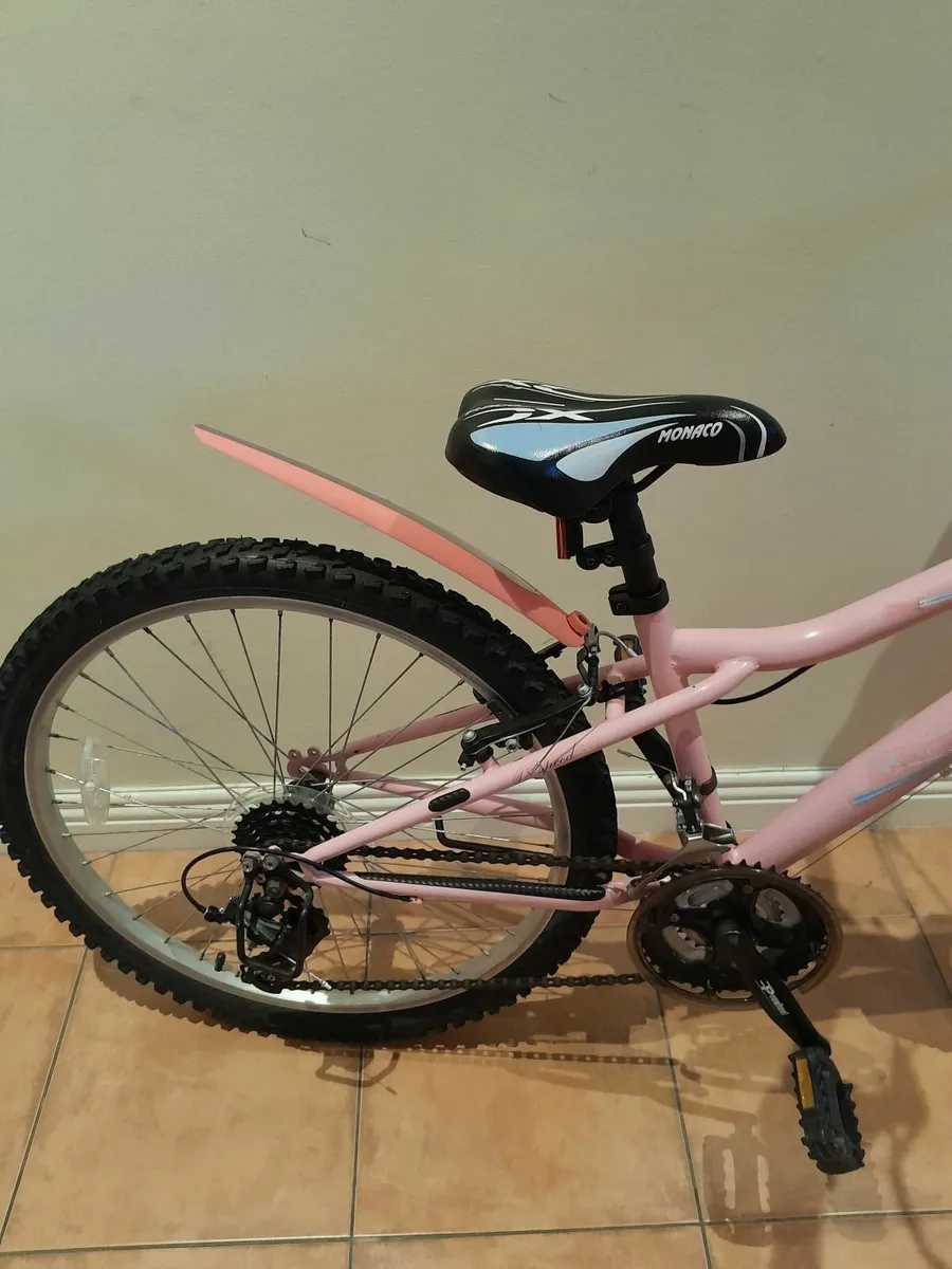 Bicycle - Image 3