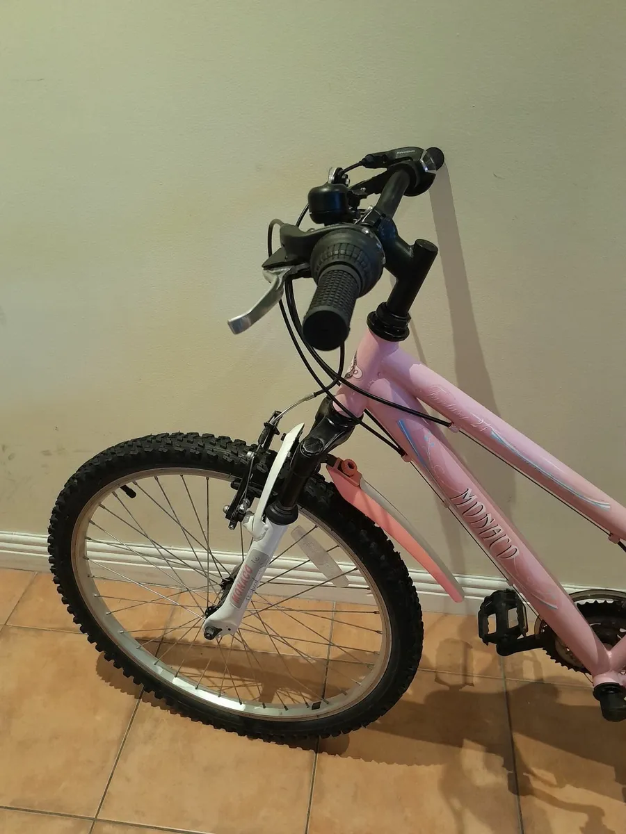 Bicycle - Image 4