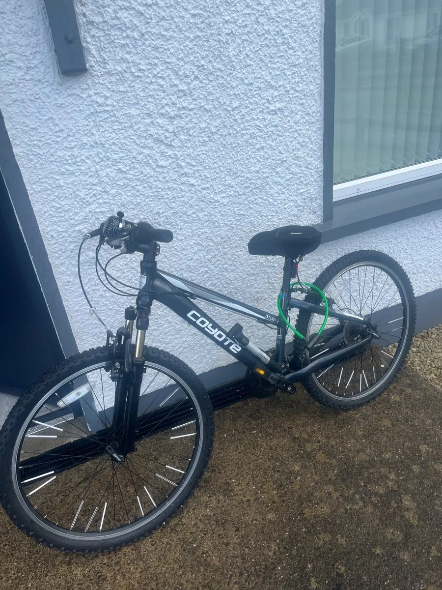 Bike - Image 2