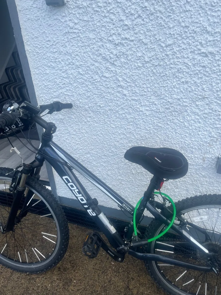 Bike - Image 3