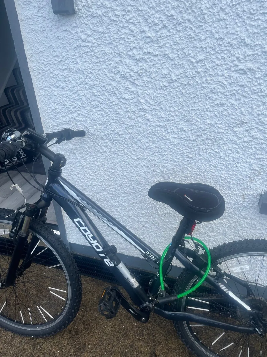 Bike - Image 4