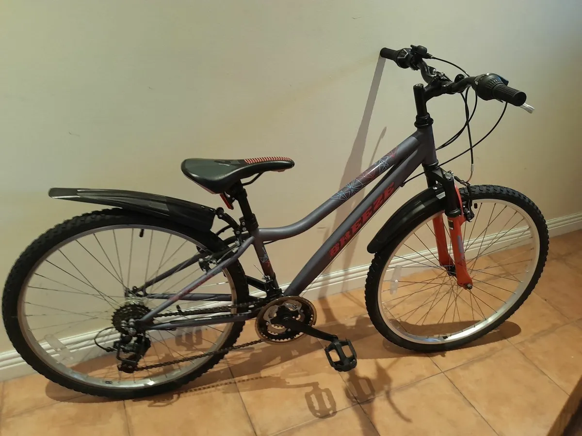 Bicycle - Image 1