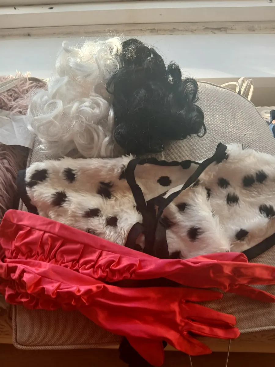 Fancy dress items - Image 1