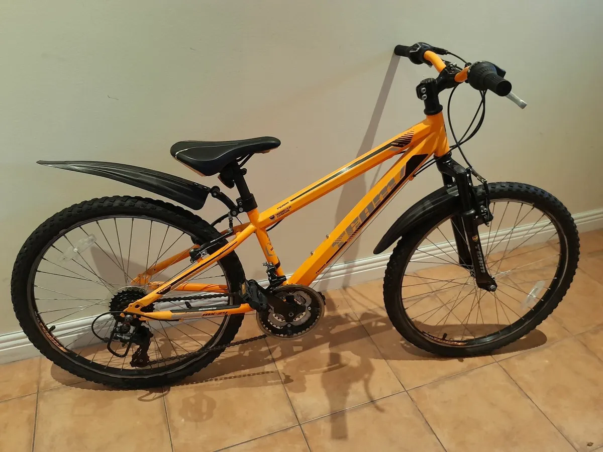 Bicycle - Image 1