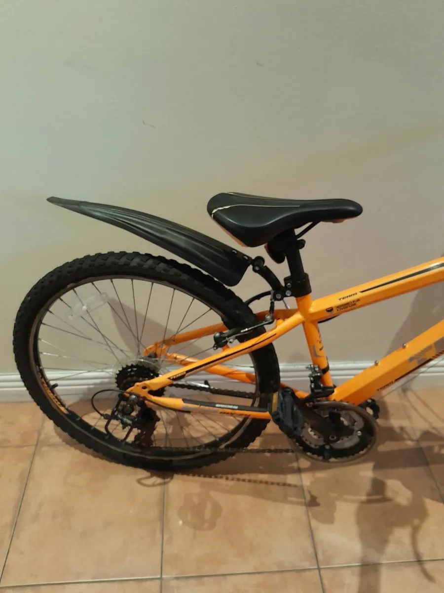 Bicycle - Image 2