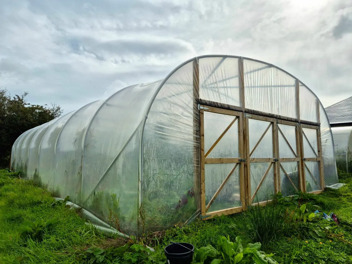 Commercial polytunnel 7×17m - Image 1