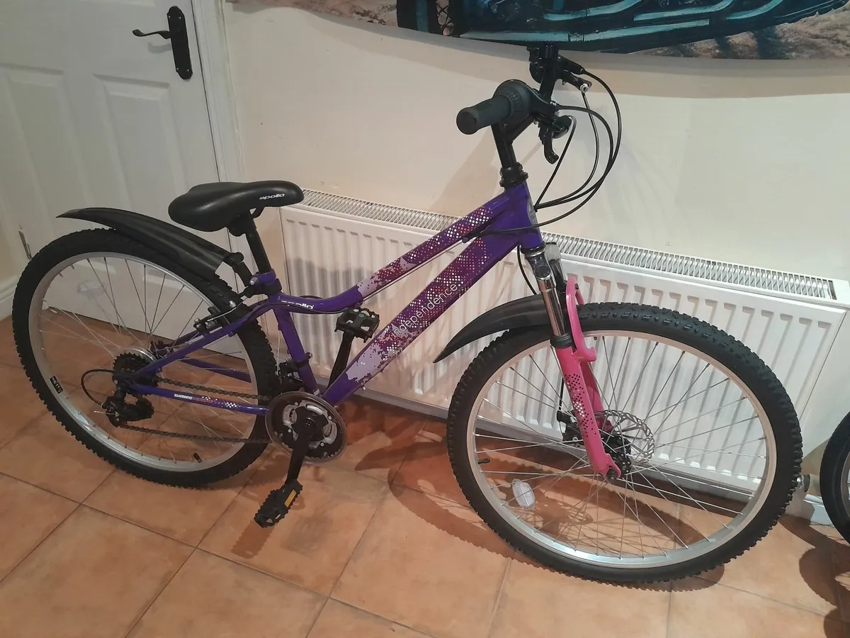 Bicycle - Image 1