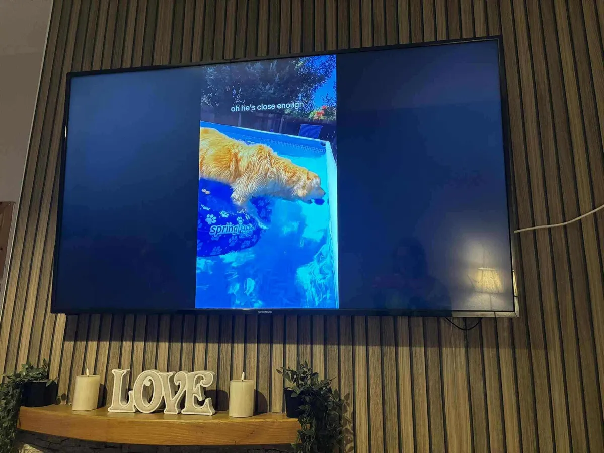 65 inch tv - Image 1