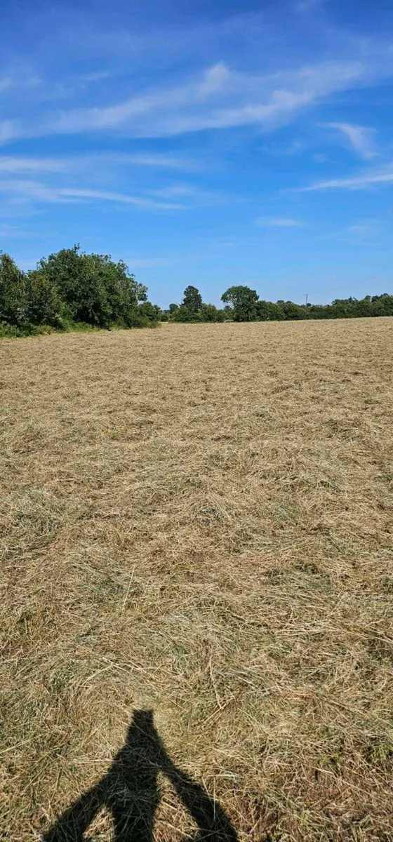 Hay and haylage for sale - Image 1