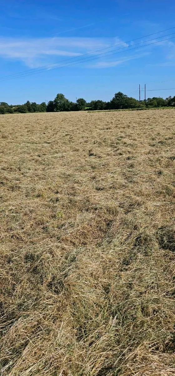 Hay and haylage for sale - Image 2