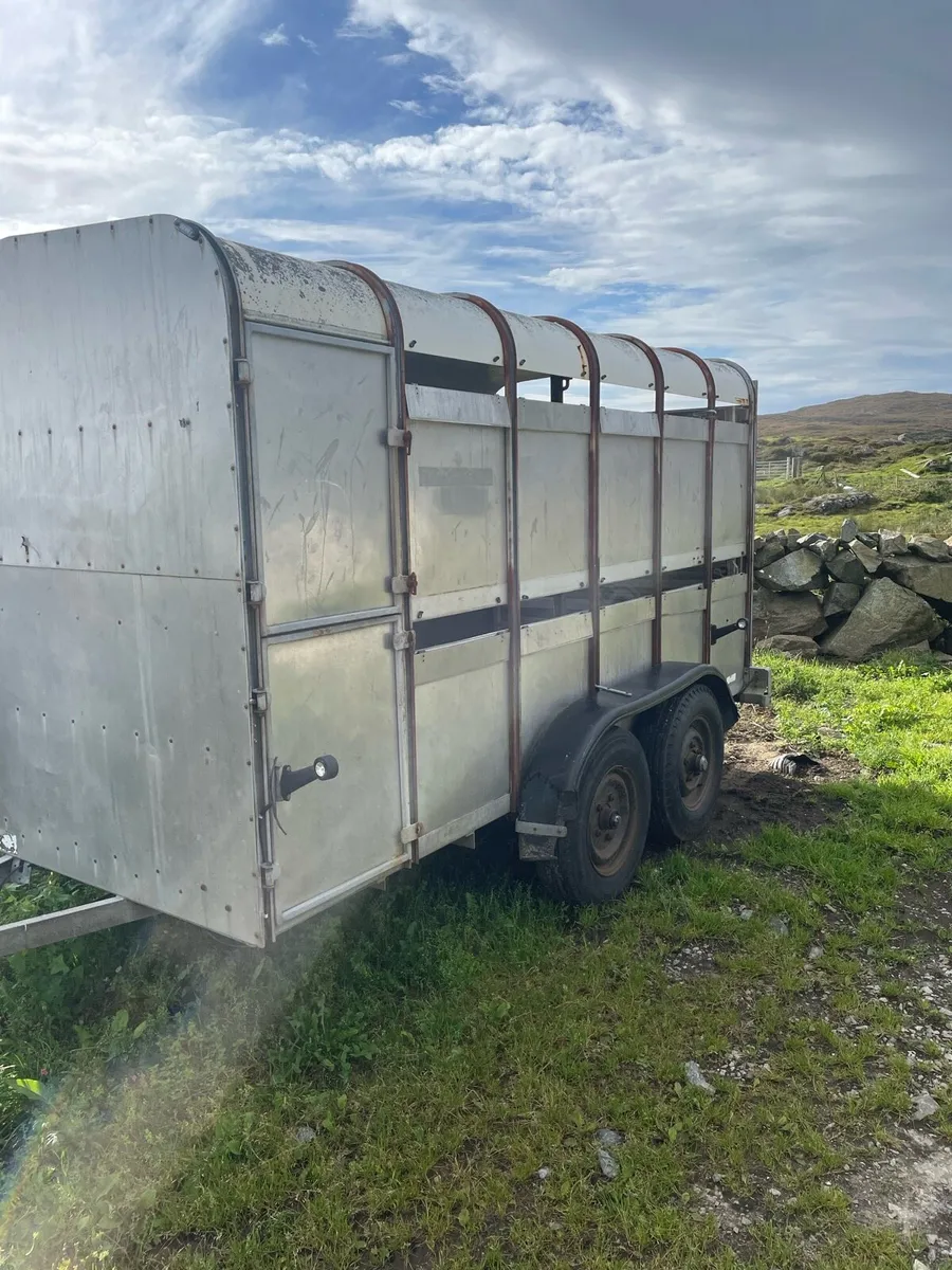 Ta510-G 12x6 ifor Williams - Image 3