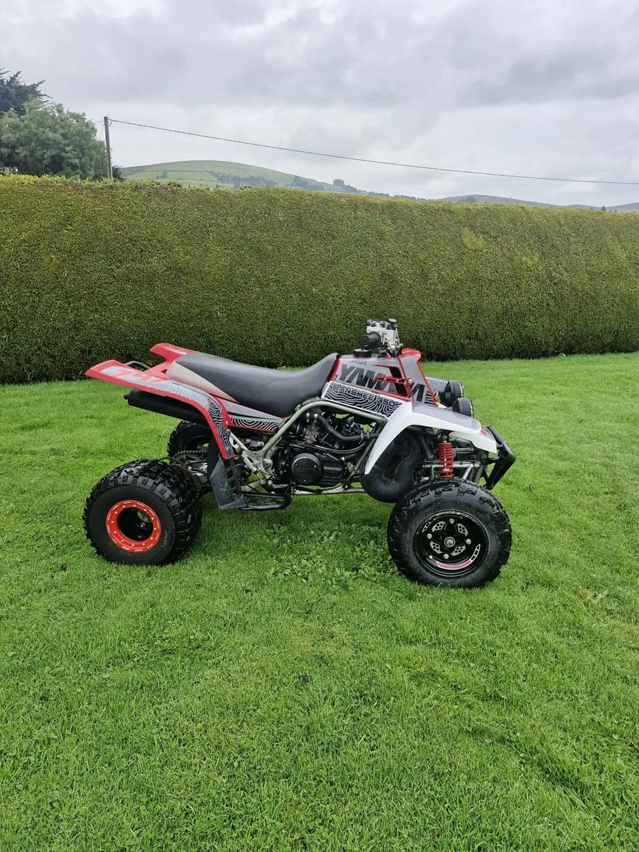 Yamaha Banshee - Image 4