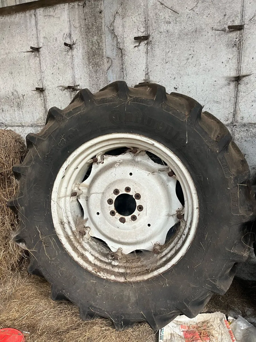 Fiat 110-90 Wheels - Image 2