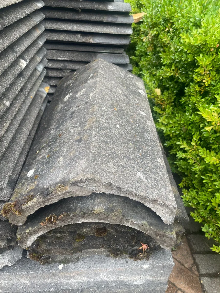 Roof slates and Capping - Image 4