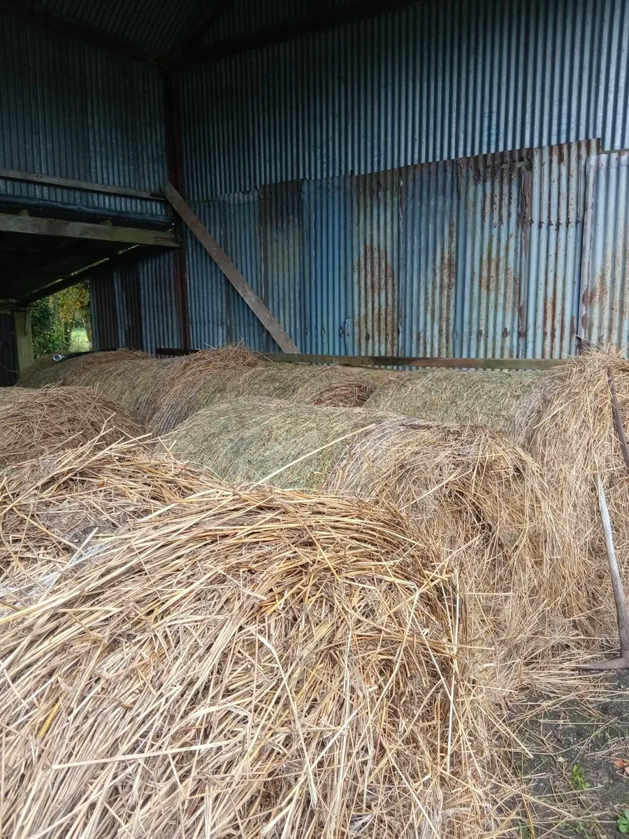 Rush bales - Image 2