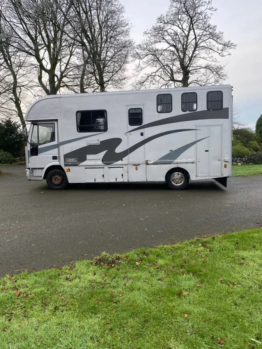 Iveco Ford horse lorry - Image 1