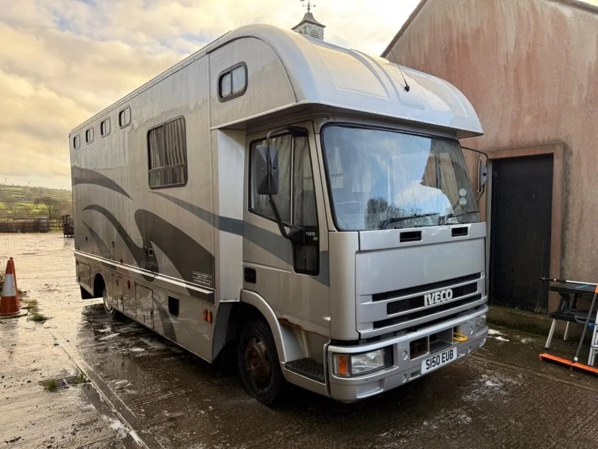 Iveco Ford horse lorry - Image 2