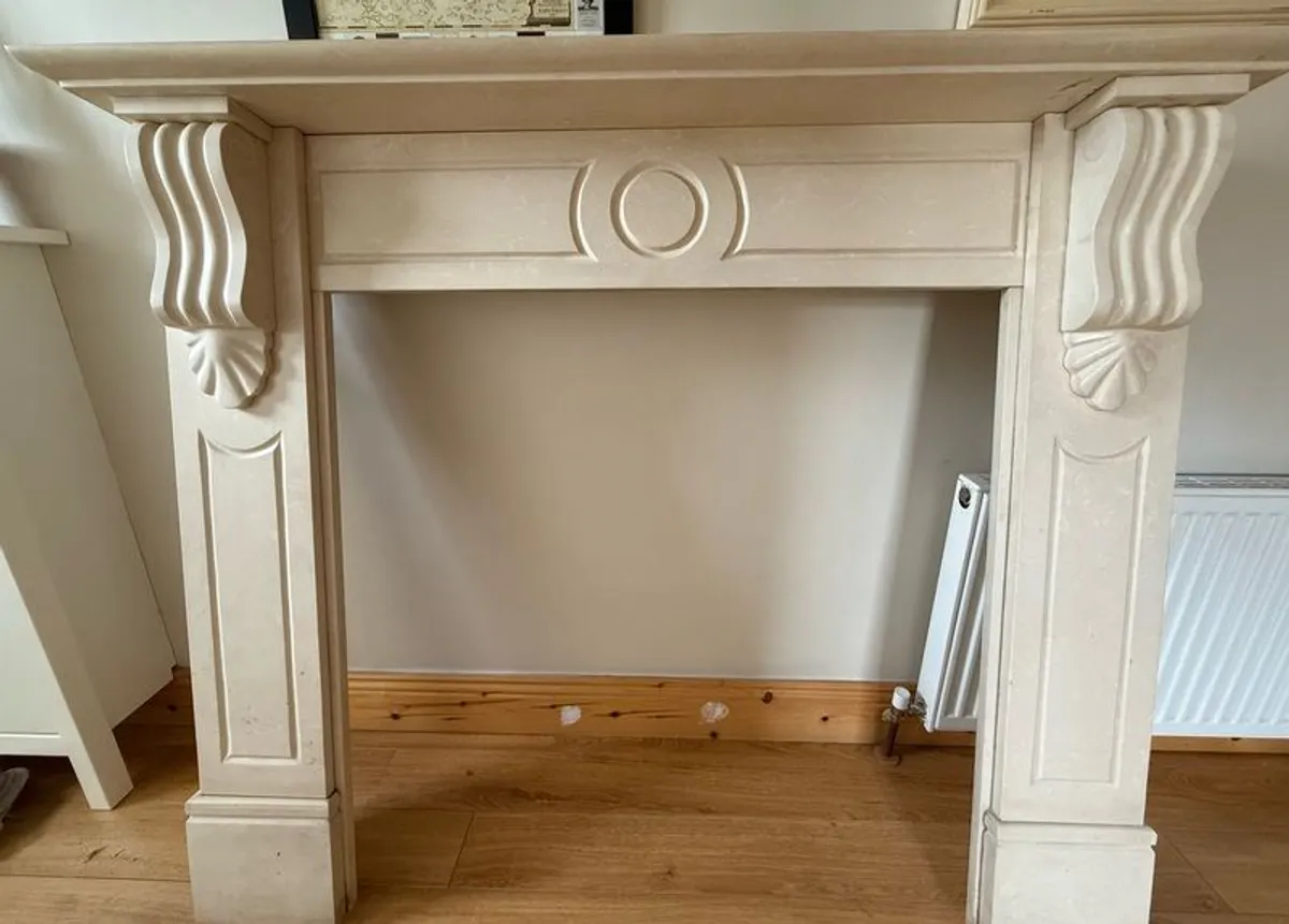 Fire Surround and Insert - Image 1