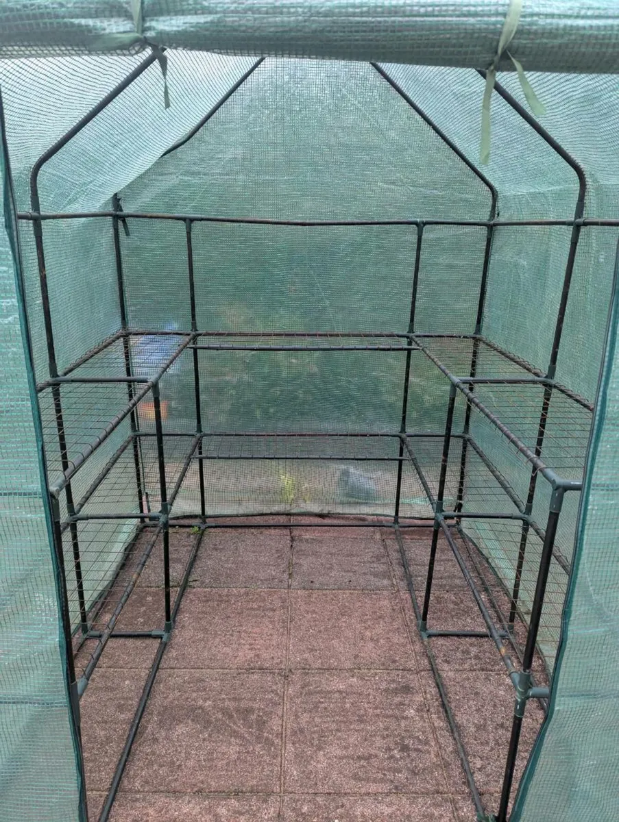 Greenhouse - Image 2