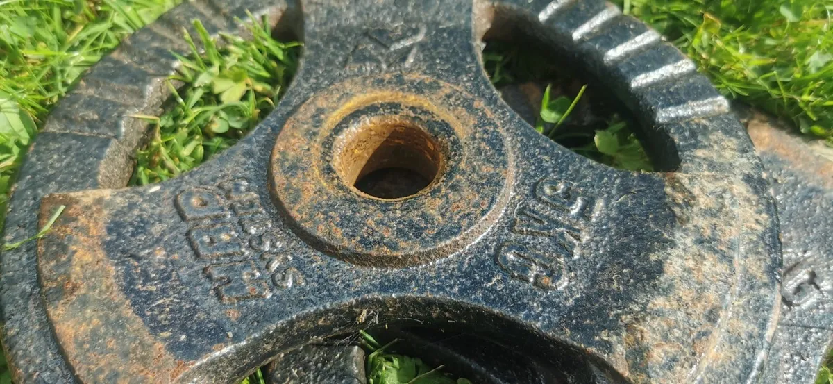 Rusty barbell and bunch of weights - Image 2