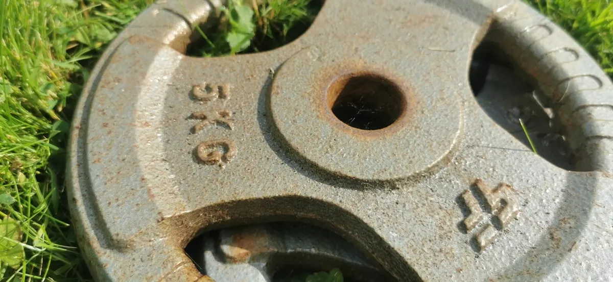 Rusty barbell and bunch of weights - Image 3