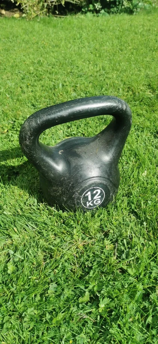 Rusty barbell and bunch of weights - Image 4