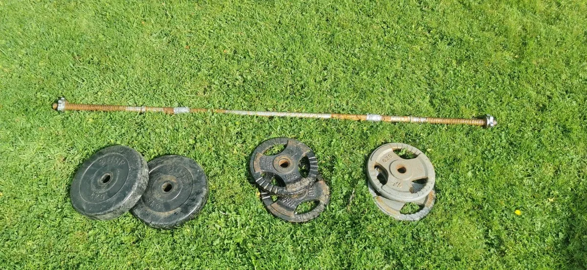 Rusty barbell and bunch of weights - Image 1
