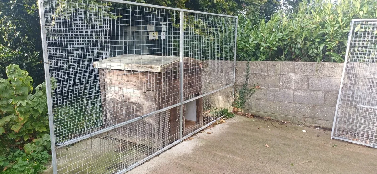 Dog run panels - Image 3