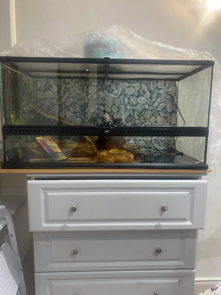 Reptile tank, terrarium for sale