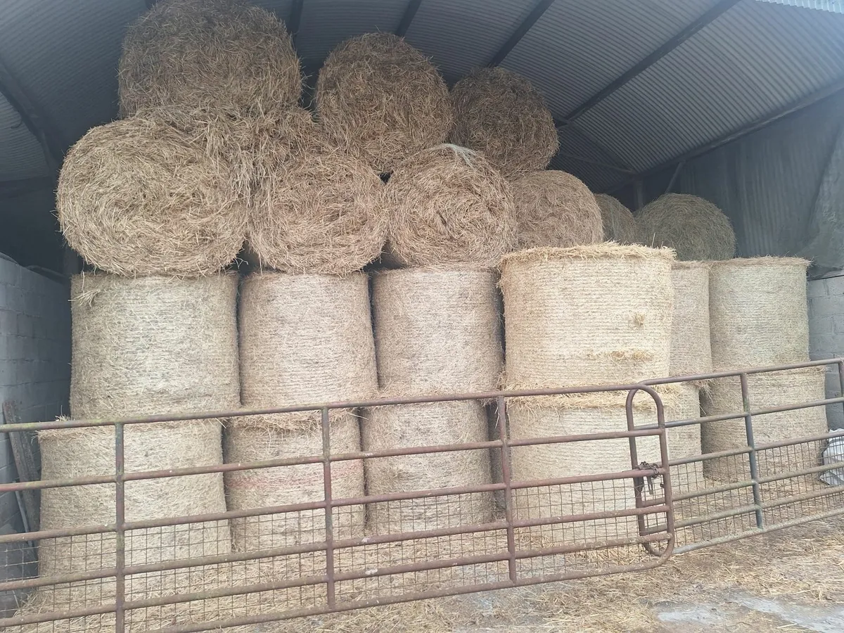 Hay