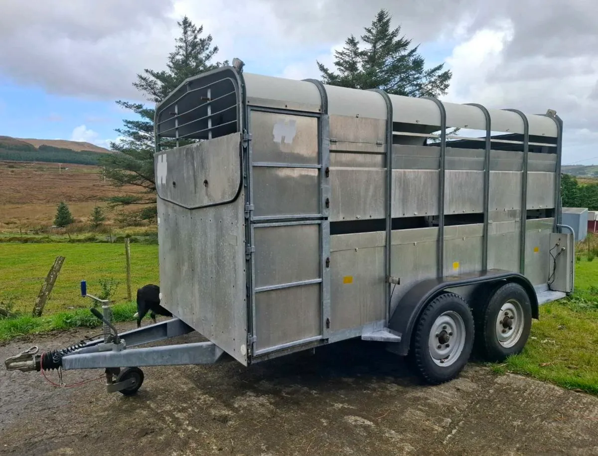 Hudson cattle trailer - Image 3